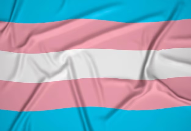 Bandeira trans