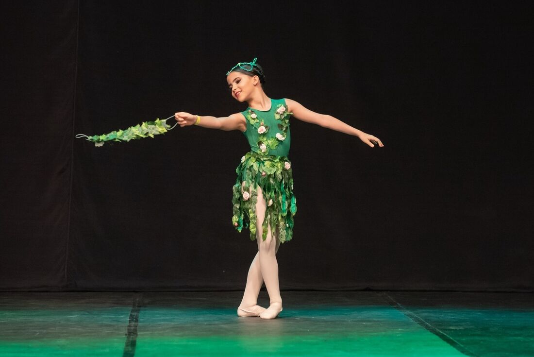 As apresentações acontecem entre os dias 06 e 09 de junho, a partir das 13h, no palco Teatro Luiz Mendonça, no Parque Dona Lindu