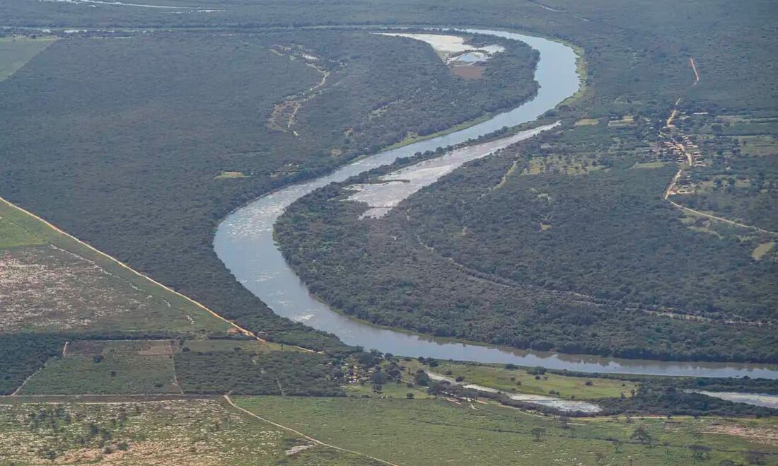 A Mata Atlântica é um bioma sul-americano rico em biodiversidade e espécies únicas, que não existem naturalmente em nenhum outro lugar do mundo.