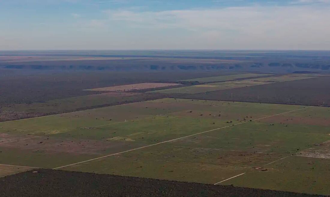 Em meio à expansão do desmatamento, Piauí debate nova lei ambiental