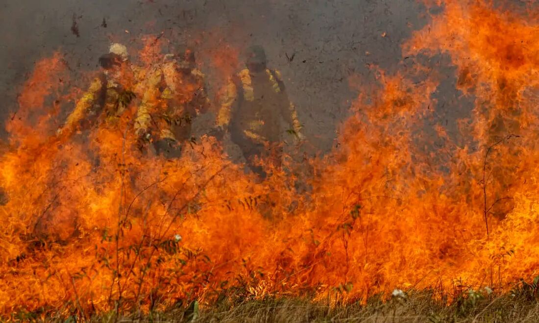 O Programa Queimadas do Inpe registrou 238 focos de queimadas no Pantanal