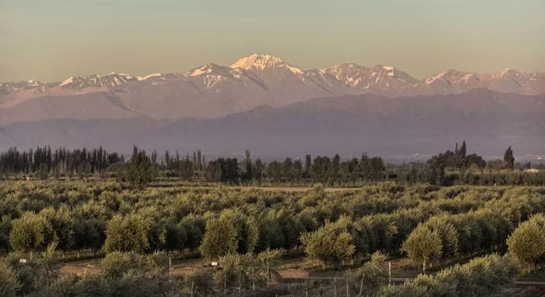 Mendoza, na Argentina