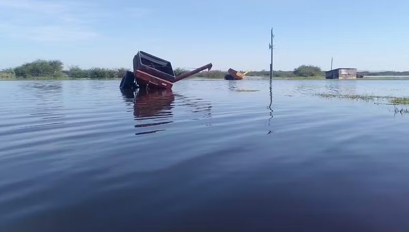 Lavoura de arroz em Viamão, no Rio Grande do Su