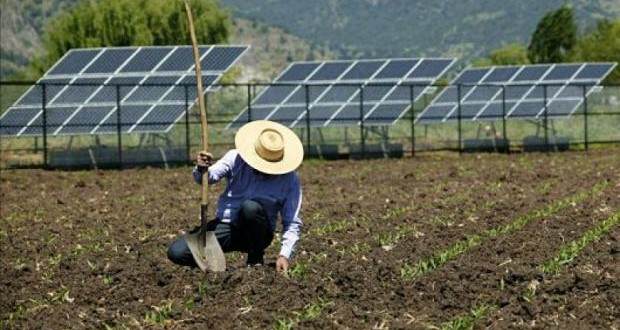 Na zonal rural, em pouco mais de três anos demanda pelo sistema aumentou pelo menos seis vezes