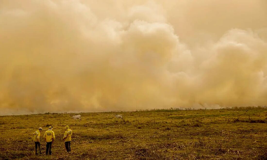 Queimada no Pantanal persiste mesmo após proibição de manejo do fogo