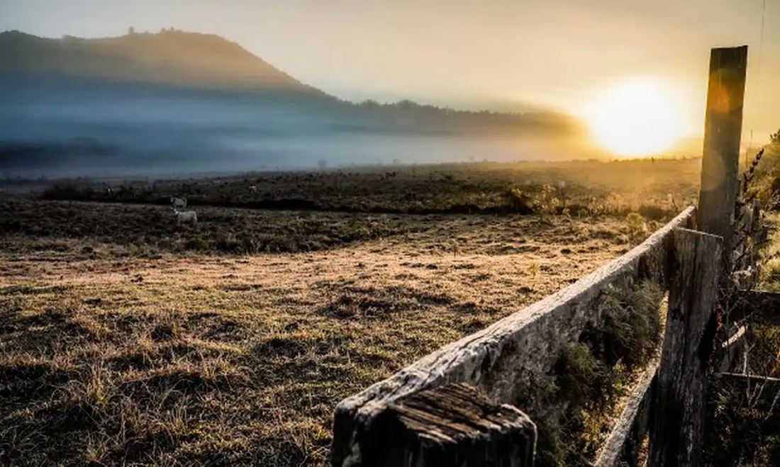 Cidades do Sul registram temperaturas negativas 