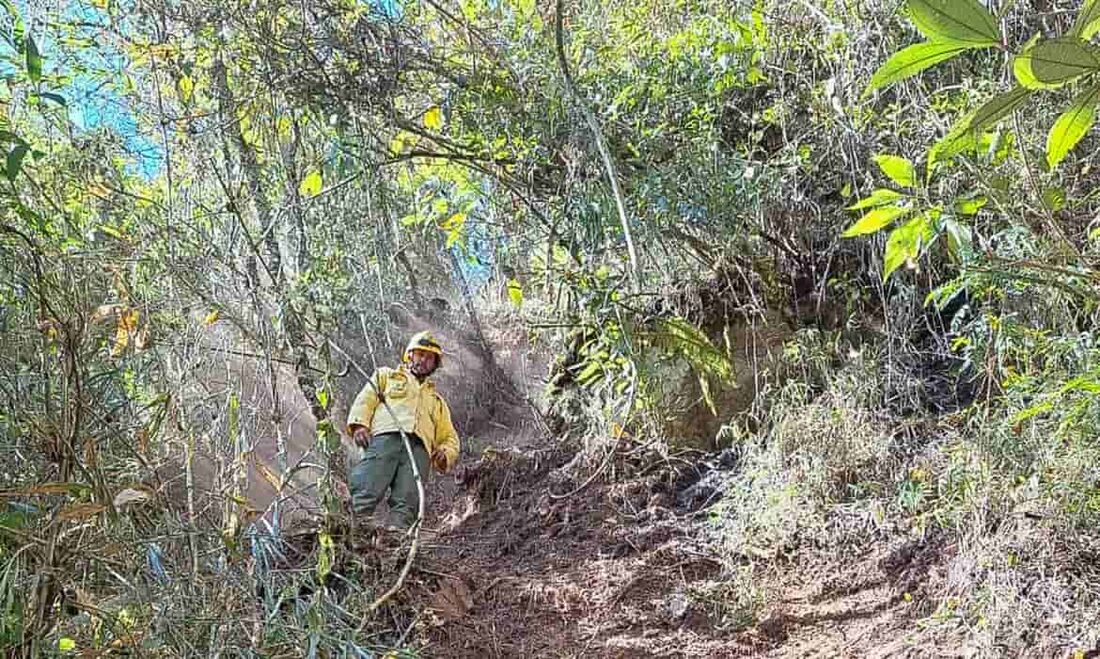 Incêndio atingiu Parque Nacional do Itatiaia