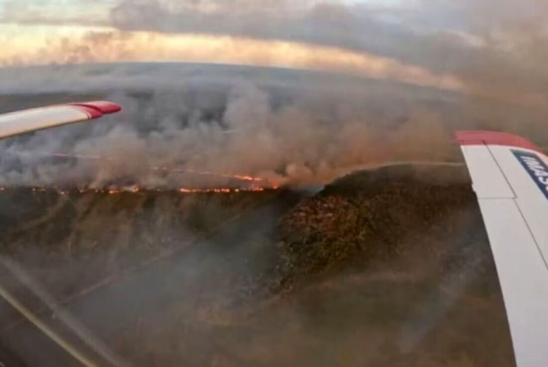 Governo de MS declara situação de emergência em cidades afetadas por incêndios florestais