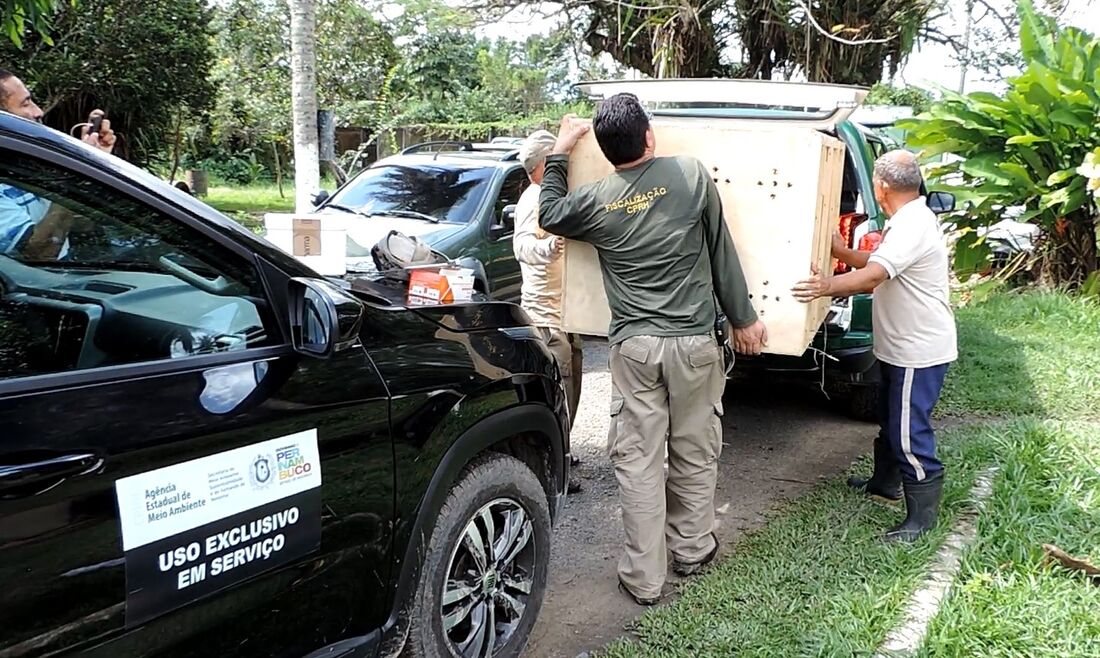 Agentes do CPRH e Ibama