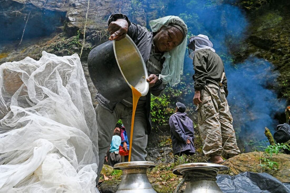 Caçadores de mel da comunidade étnica Gurung colhem favos de mel em um penhasco no distrito de Lamjung, no Nepal