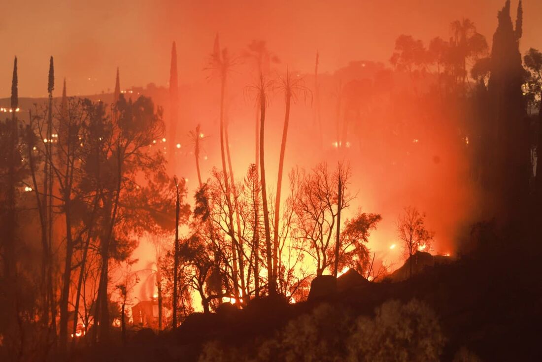 Avanço de incêndios florestais deixa oeste dos EUA em alerta