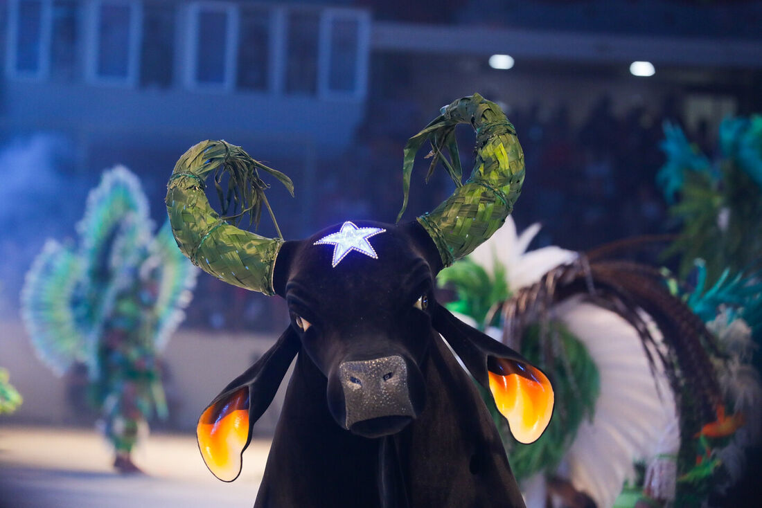 Boi Caprichoso, tricampeão do Festival de Parintins