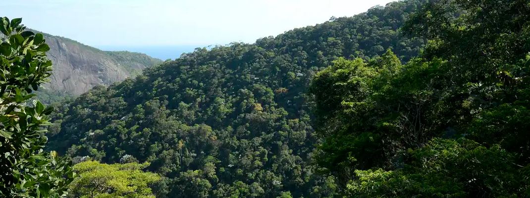 Serão realizadas audiências públicas nos seis biomas brasileiros: Caatinga, Amazônia, Cerrado, Pantanal, Mata Atlântica e Pampa, além do Sistema Costeiro Marinho