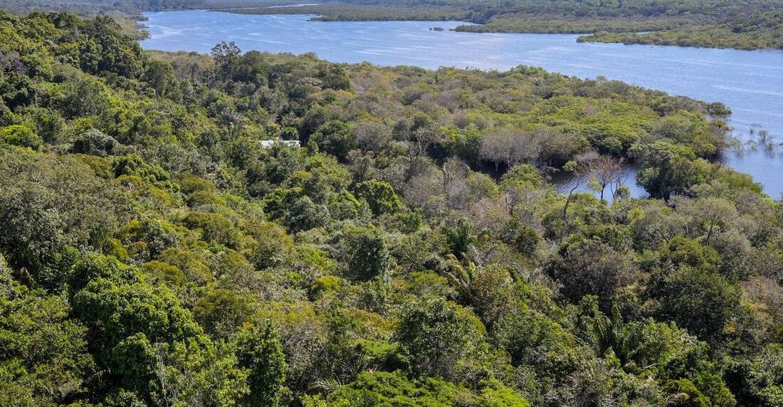 Amazônia uma das maiores competições para mapeamento da biodiversidade de florestas tropicais do mundo: a Xprize Rainforest