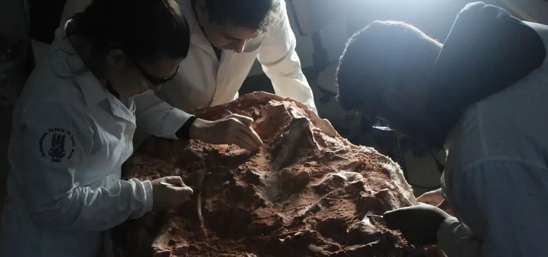 Foi encontrado um fóssil quase completo do dinossauro do grupo Herrerasauridae, que viveu no Período Triássico, com idade estimada em 233 milhões de anos