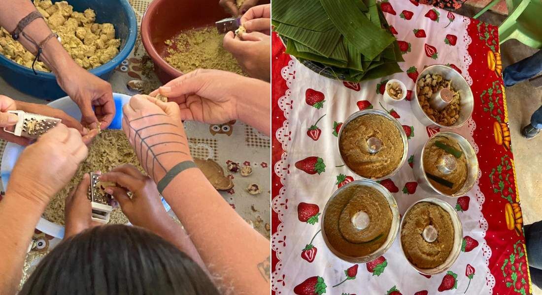 "Já Comeu Jatobá?" leva receitas feitas com a fruta nativa