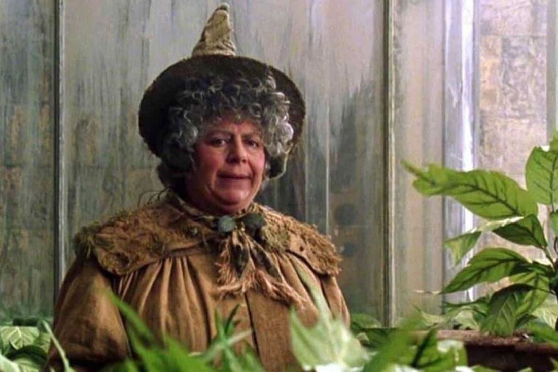 Miriam Margolyes, de 83 anos, ficou conhecida por interpretar a Professora Sprout na franquia ''Harry Potter''