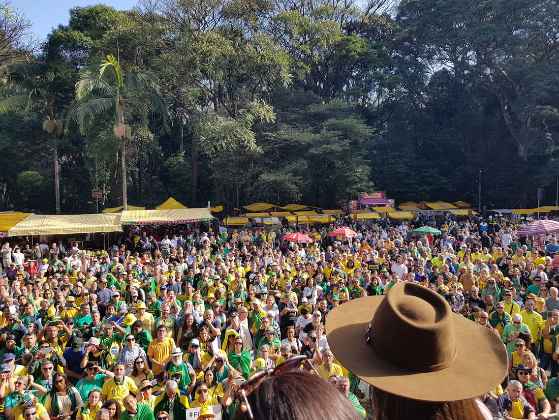 Militantes de direita fizeram um protesto esvaziado na avenida Paulista, neste domingo, 14