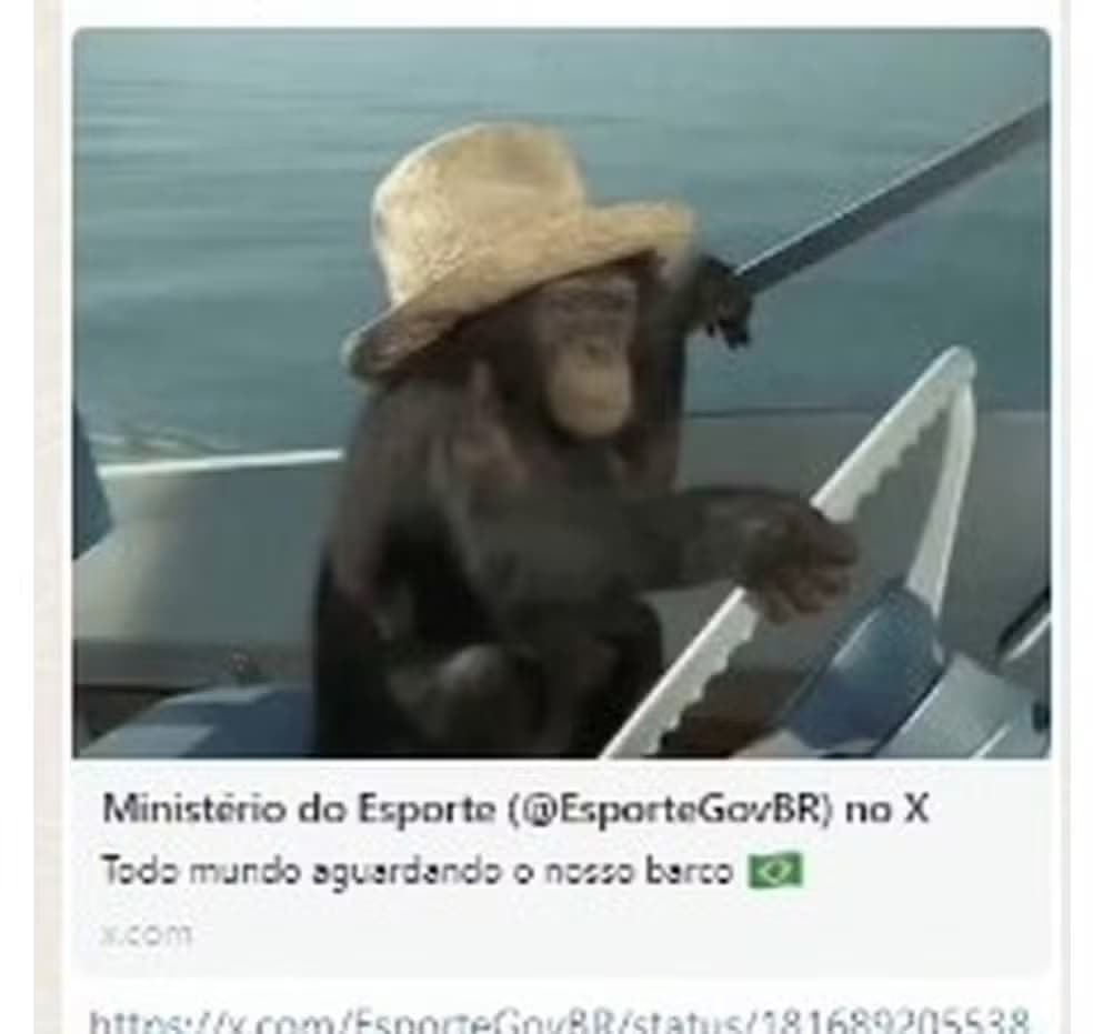 Imagem de macaco publicada pelo Ministério do Esporte e apagada em sequência