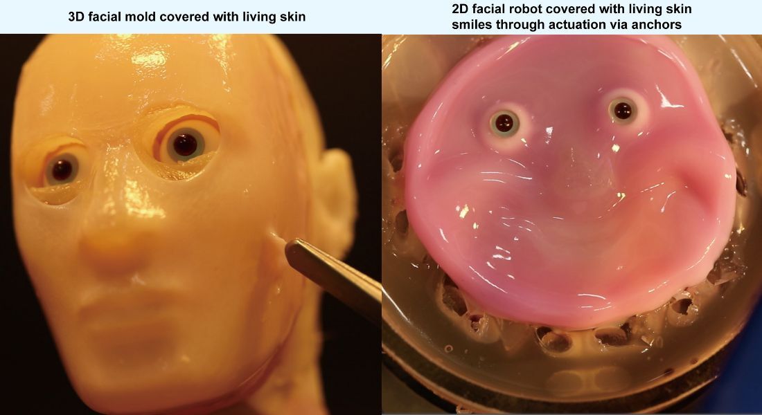 Cientistas do Japão criaram uma máscara facial a partir de células vivas da pele humana