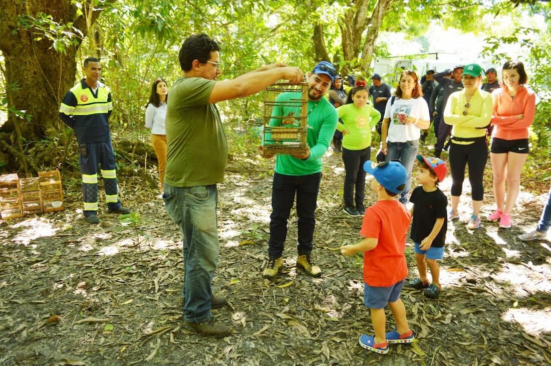 Reserva do Paiva e CPRH fazem soltura de animais silvestres recuperados em operações na RMR