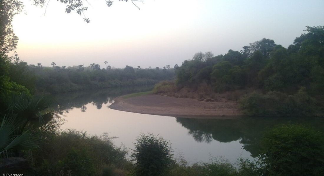 Unesco retirou o maior parque natural do Senegal, o Niokolo Koba, da lista do patrimônio mundial em perigo