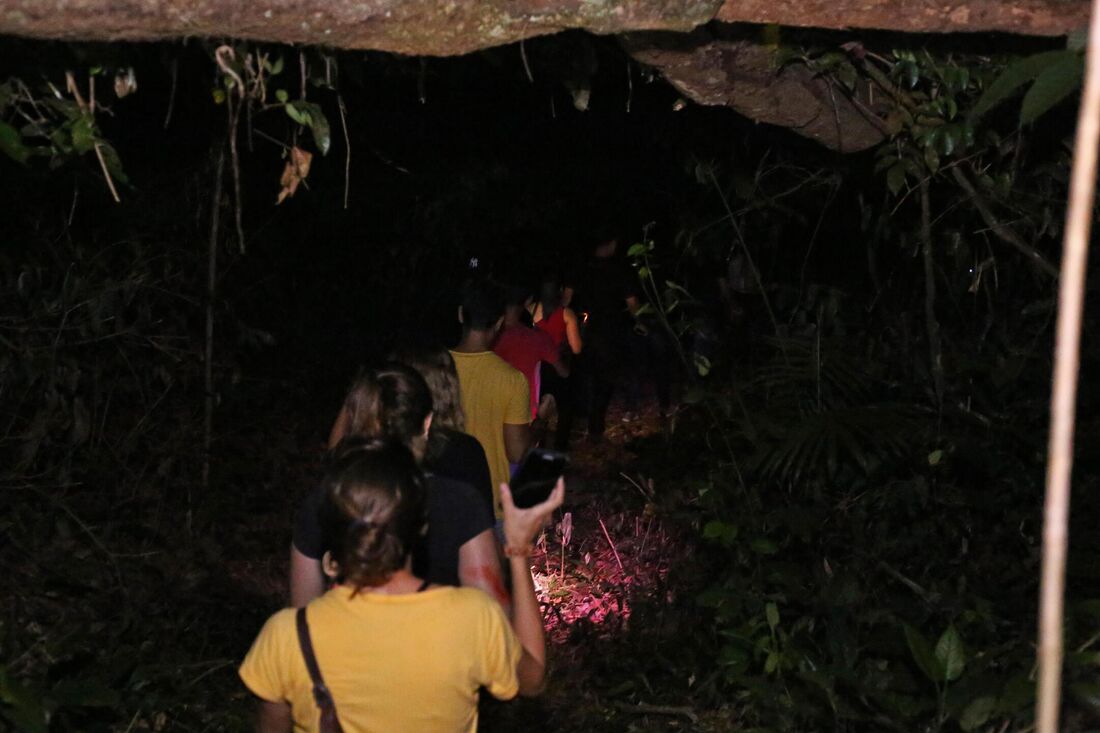 Zoo noturno no Parque Dois Irmãos