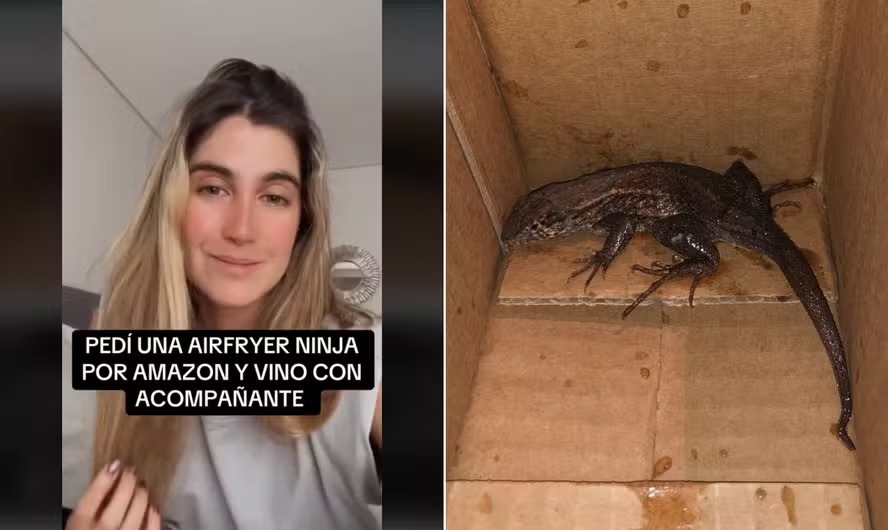 A colombiana Sofía Serrano comprou uma air fryer e recebeu junto um réptil 