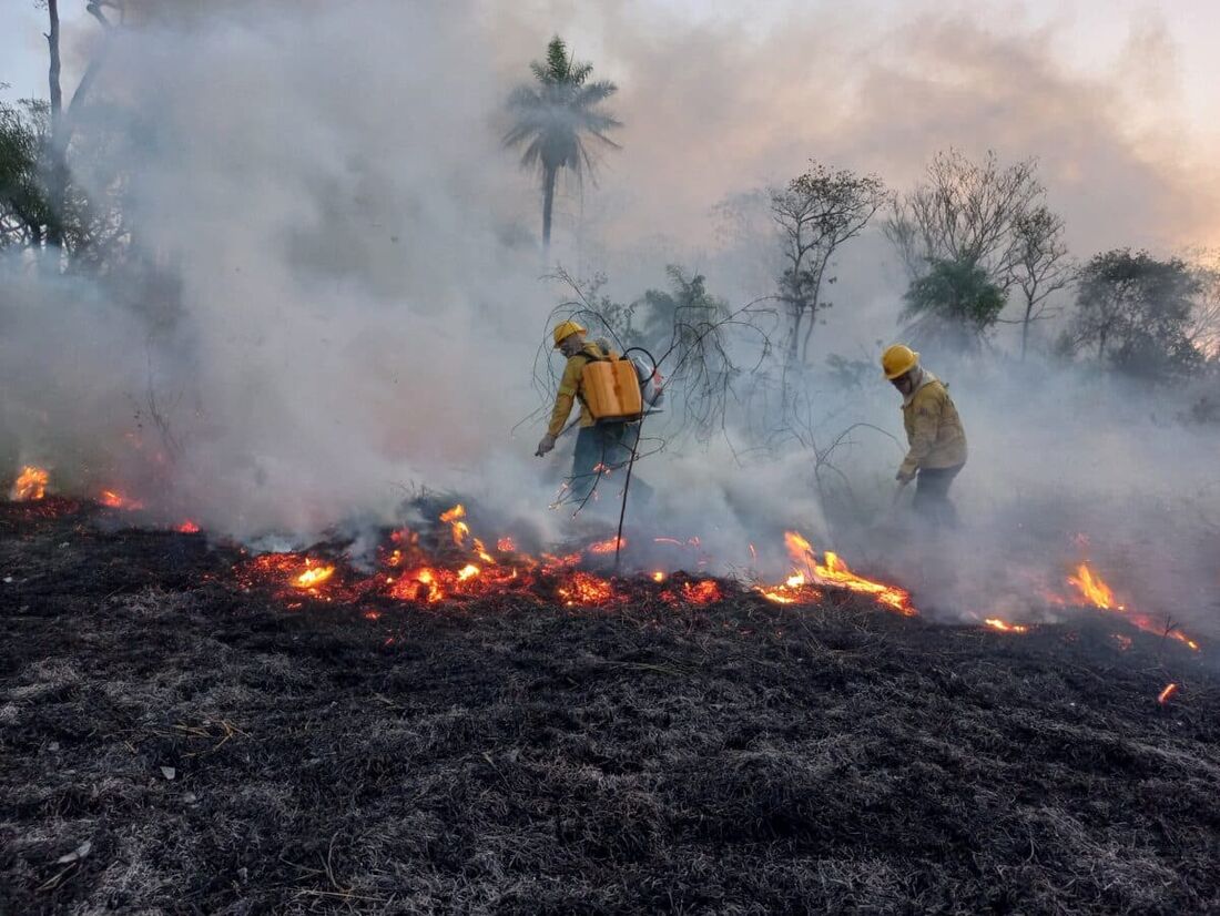 Incêndios florestais no Pantanal