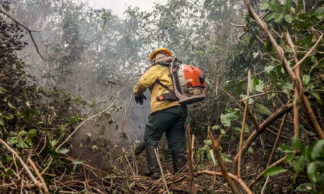 O ministro Flavio Dino, do STF, determinou nesta terça-feira (27) que o governo reforce ao máximo, no prazo de 15 dias, a quantidade de pessoas que atuam no combate ao fogo no Pantanal e na Amazônia