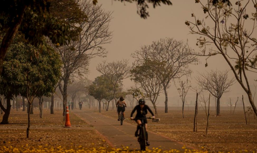 Nevoiro de fumaça:  diretora do Departamento de Vigilância em Saúde Ambiental e Saúde do Trabalhador, Agnes Soares, alertou que o risco é maior para crianças e idosos