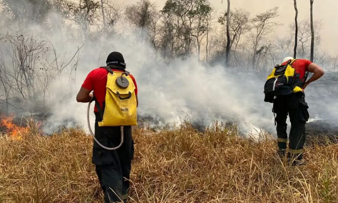 A gravidade e a velocidade com que incêndios florestais vêm se espalhando pelo Brasil e pela Bolívia nas últimas semanas motivou os dois países a combinarem uma força de atuação conjunta 