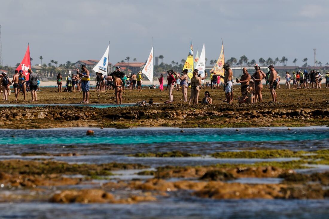 Em Porto de Galinhas, o turismo regenerativo é o foco da Biofábrica de Corais, startup de restauração de ecossistemas