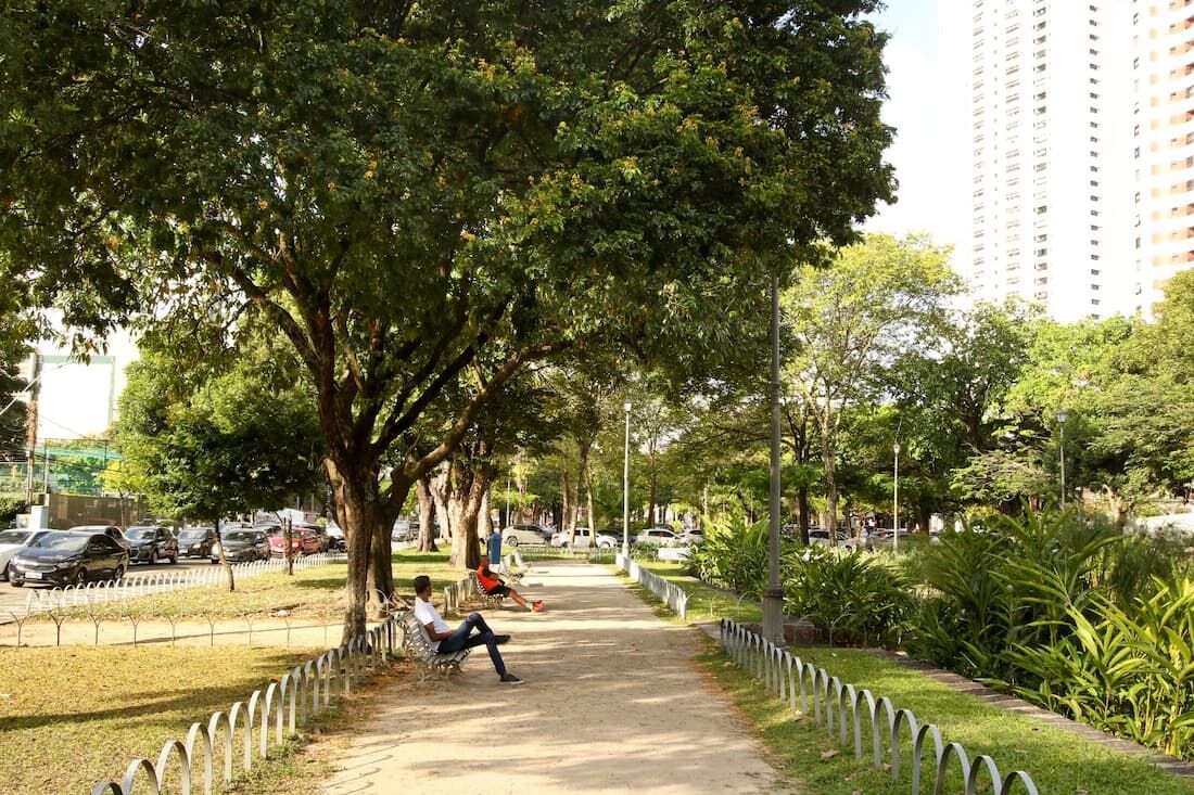 CTTU interdita trecho da Praça de Casa Forte para serviço de drenagem