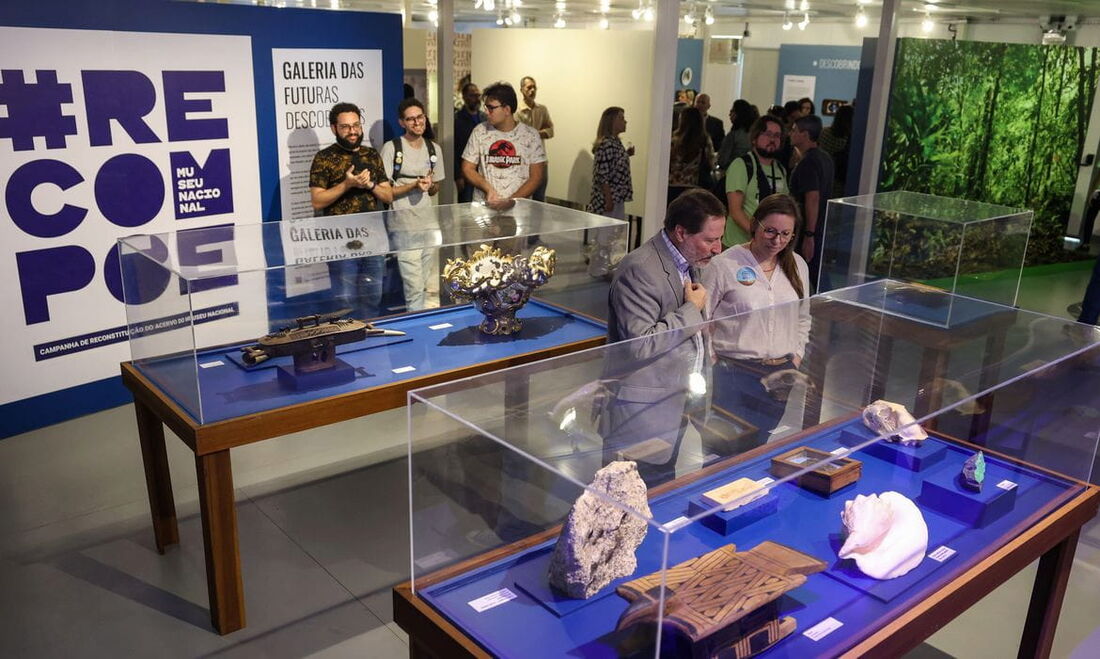 Em reconstrução, Museu Nacional abre espaço para receber escolas