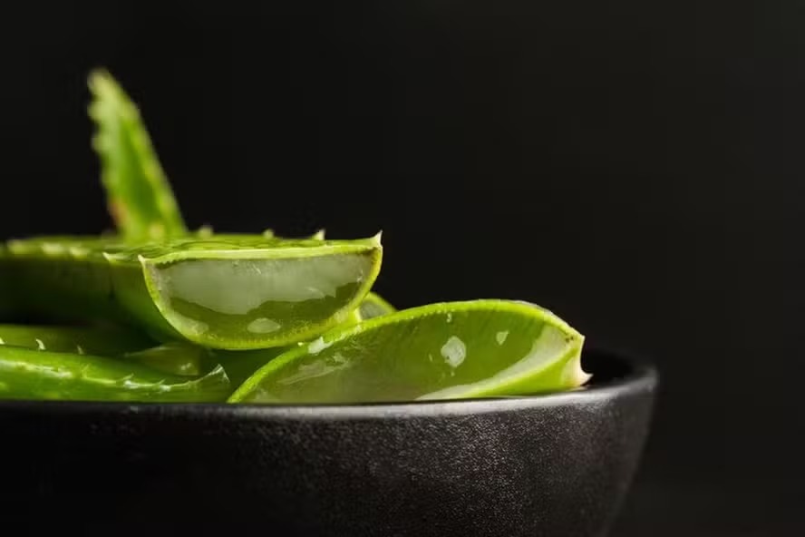 A planta aloe vera pode ajudar a reduzir as olheiras 