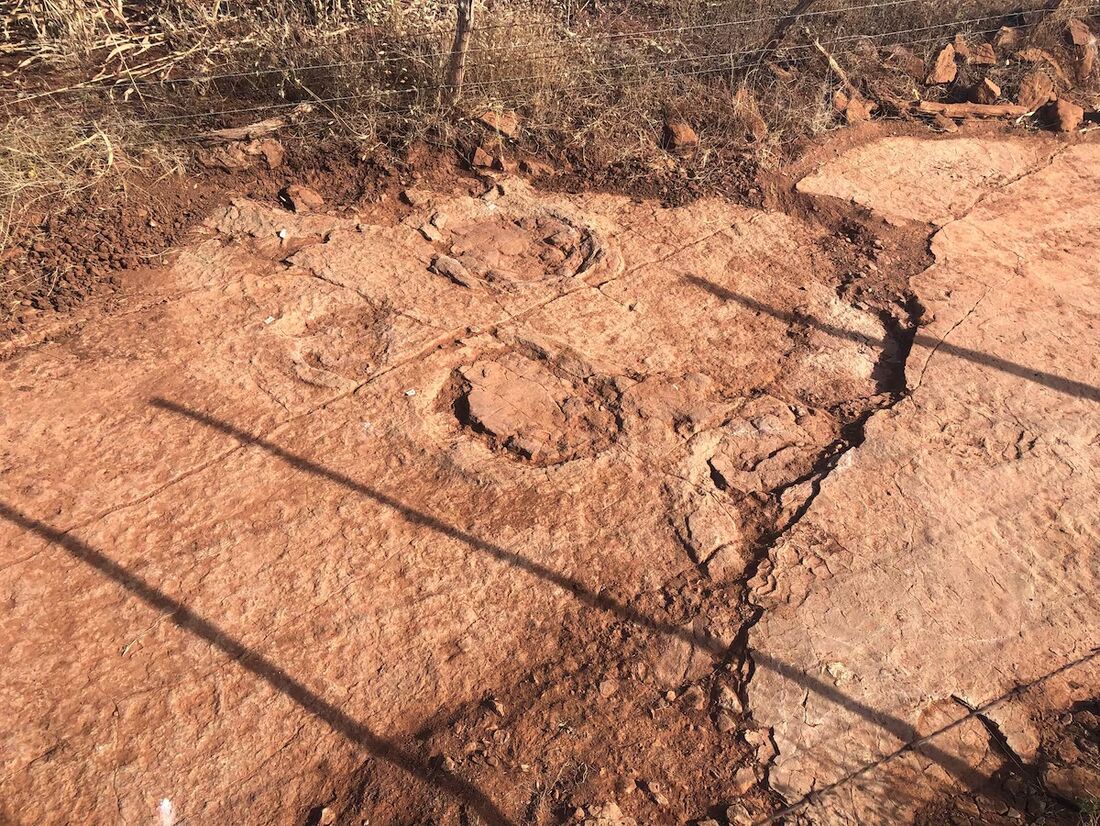 Pegadas de dinossauro inéditas são descobertas na Paraíba