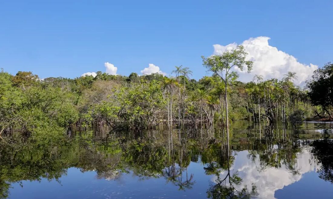 O Rio Negro registra a marca de 13,19 metros nesta segunda-feira (30), ultrapassando a seca de 2010 