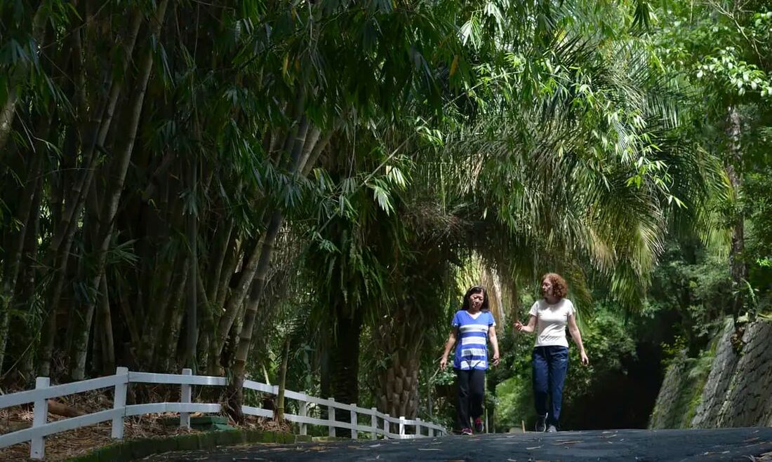 São Paulo reabre hoje 69 parques estaduais