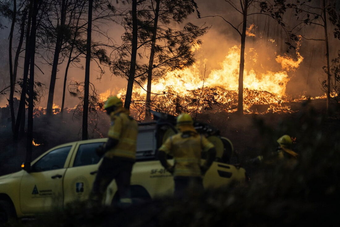 Bombeiros combatem incêndio florestal em Busturenga, Albergaria-a-Velha, em Aveiro, Portugal