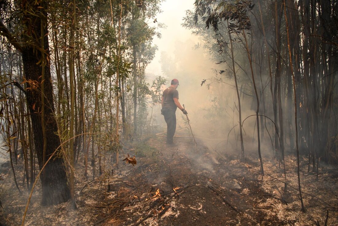 Incêndios em Portugal