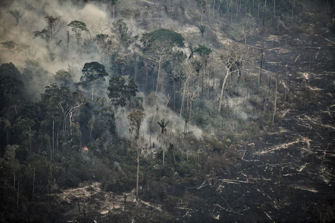 Vista aérea de uma área afetada por incêndios florestais na selva amazônica na região de Ucayali, Peru