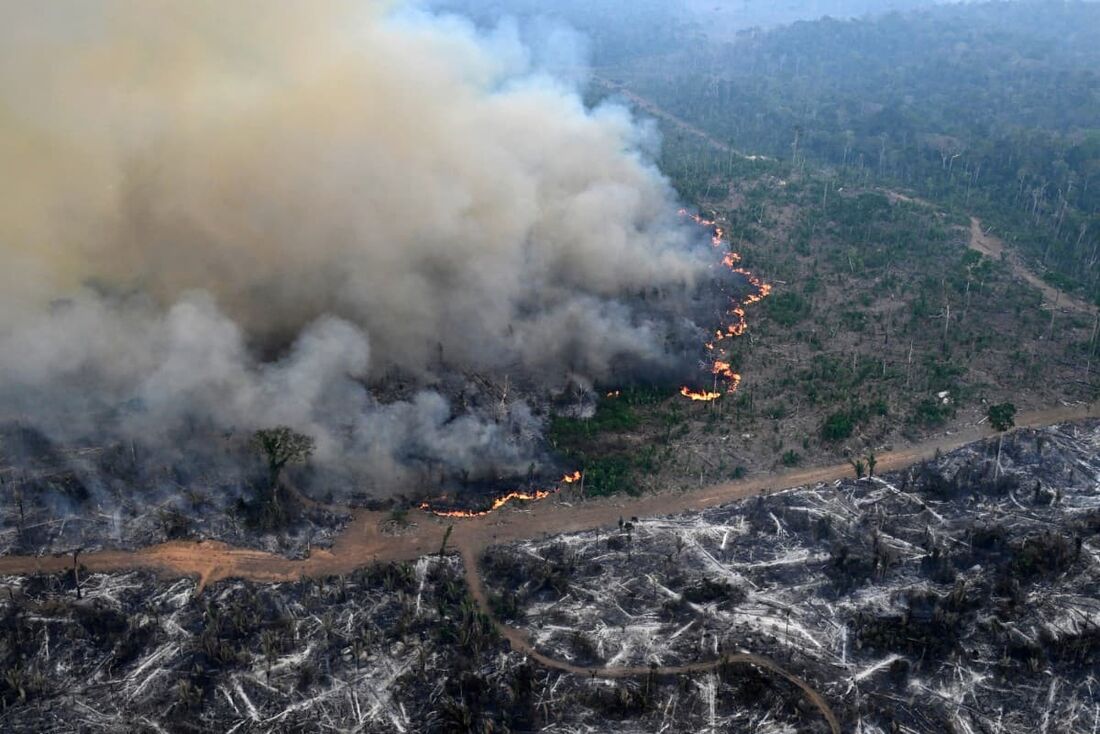 Vista aérea de uma área da floresta amazônica desmatada por incêndio ilegal no município de Lábrea, estado do Amazonas, Brasil