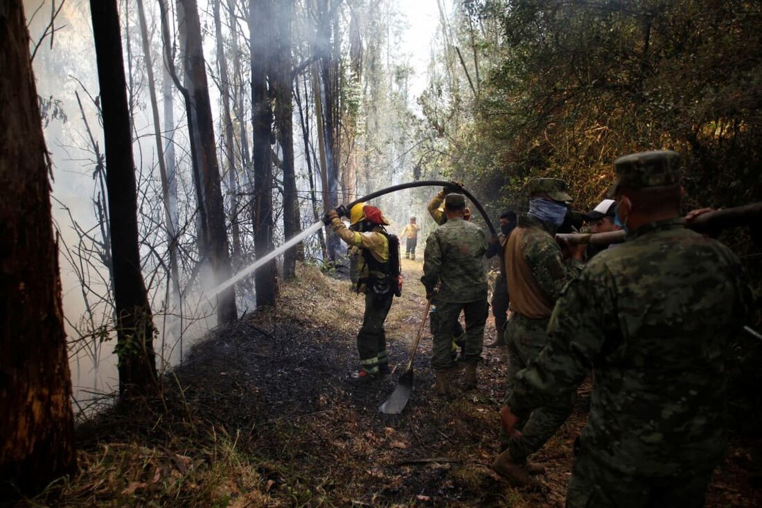 Soldados do Exército ajudam bombeiros a combater um incêndio florestal em uma colina em Quito 