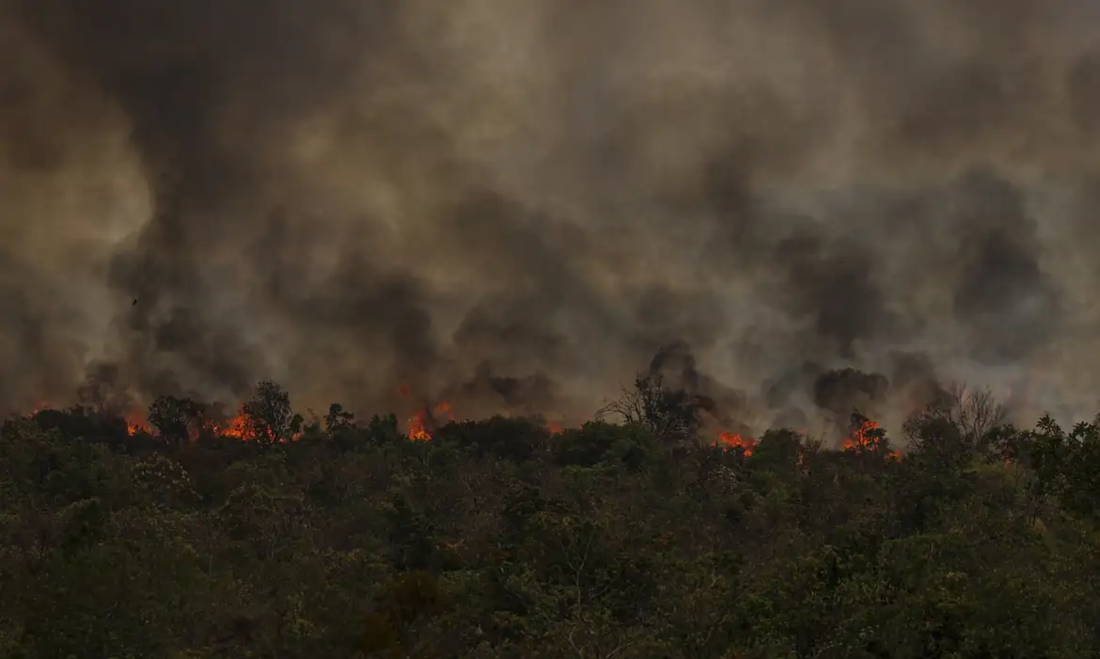 As queimadas na região neste ano foram agravadas