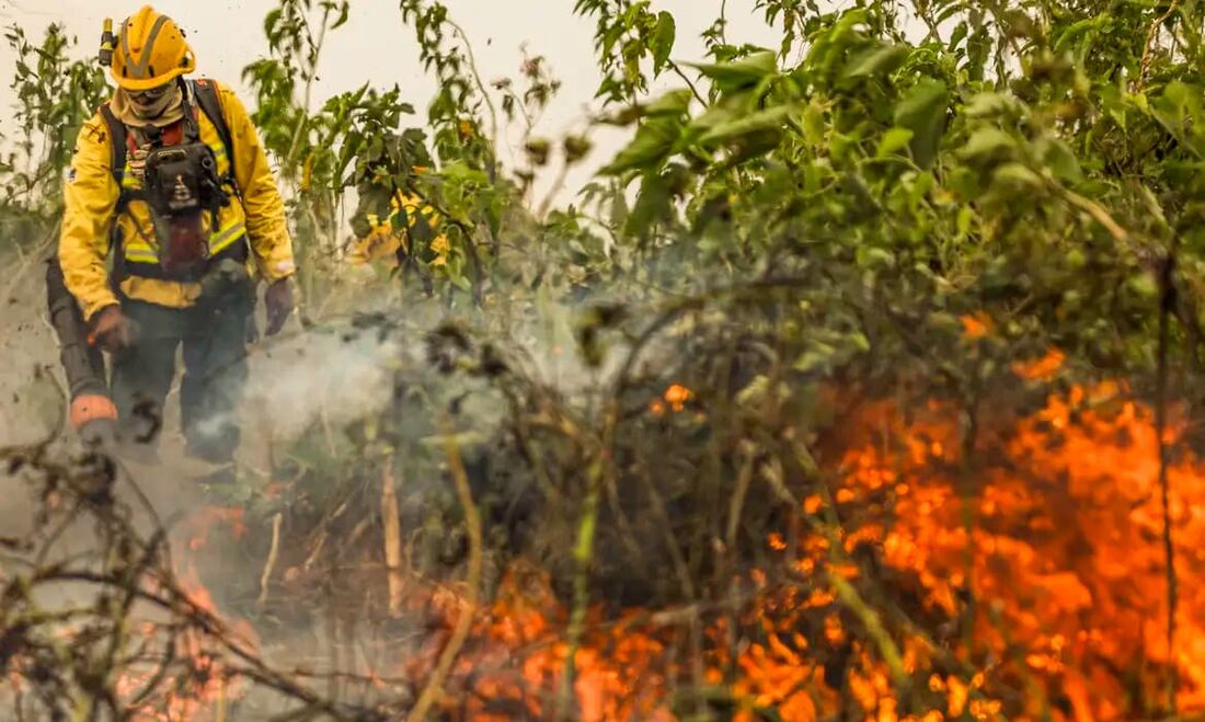 O Brasil iniciou o mês de setembro com mais 154 mil focos de calor registrados este ano