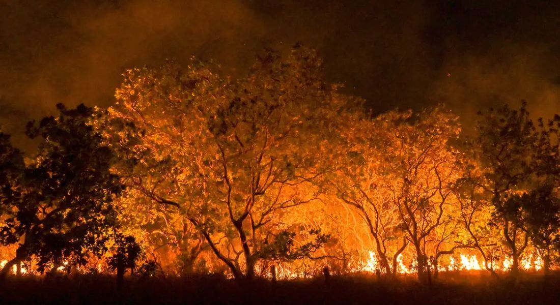 Queimada em Roraima