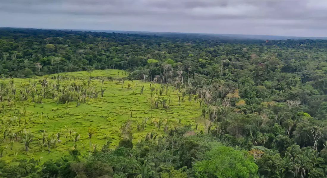 A medição do perímetro destruído, que equivale a 707 campos de futebol