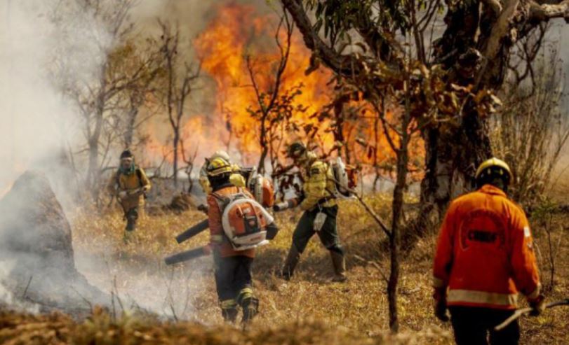 Bombeiros do Mato Grosso combatem incêndios florestais no estado