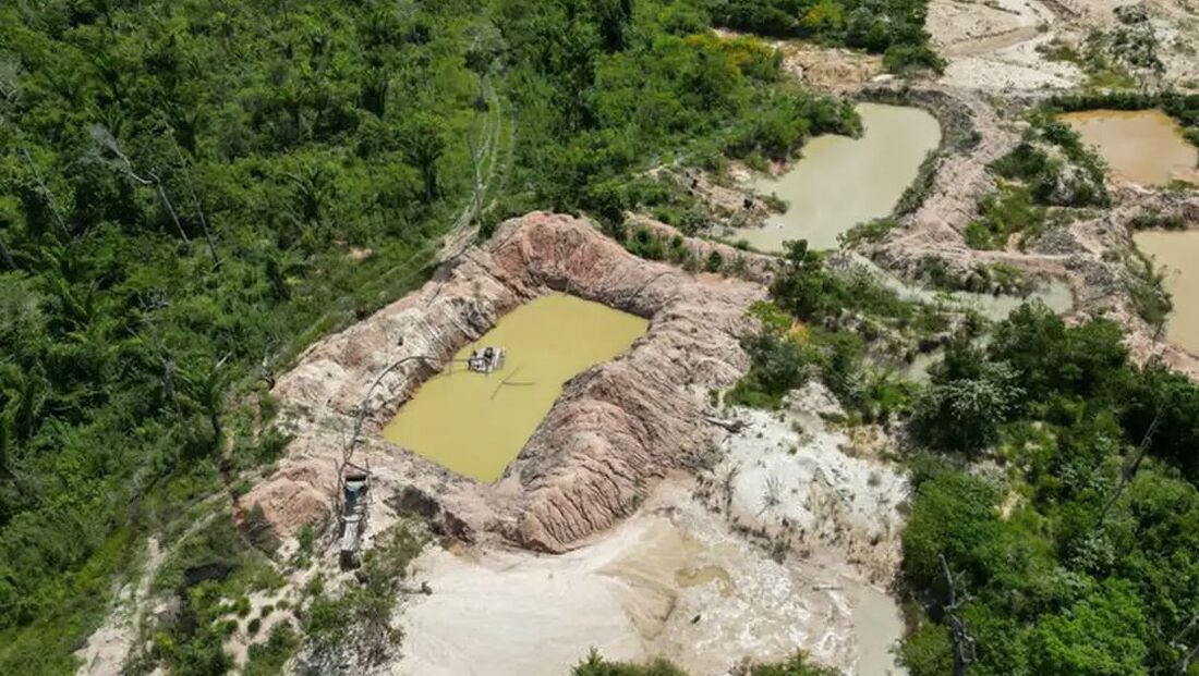 Ao todo, 571.750 hectares (17,41%) do território já foram consumidos pelo fogo.